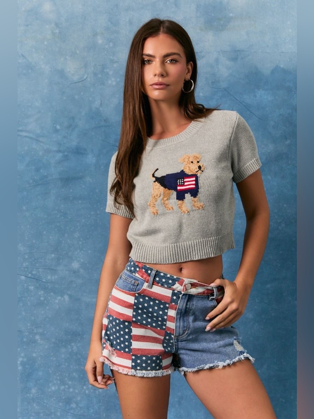 American Flag Dog Graphic Short-Sleeve Cropped Sweater Top - Le Lis